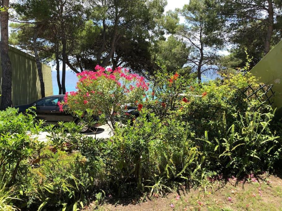 Finestra Sul Mare